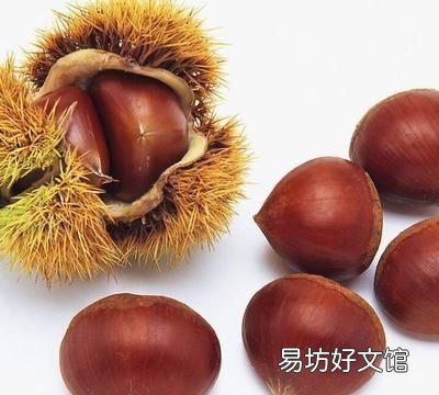 板栗怎样放一年不会坏