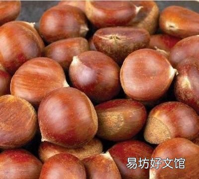 板栗怎样放一年不会坏
