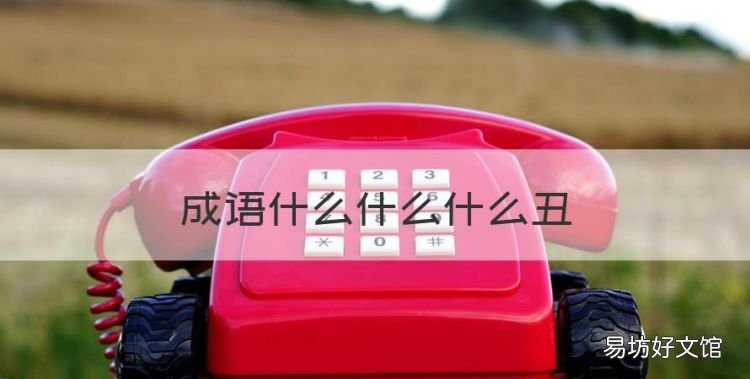 成语什么什么什么丑,什么百态什么丑的成语
