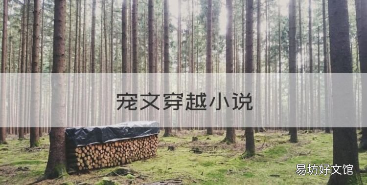 宠文穿越小说