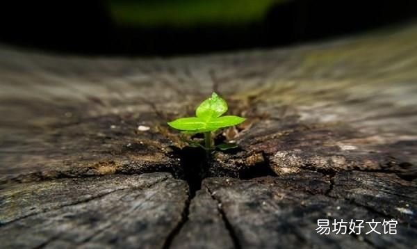 写给自己的正能量句子,句句经典