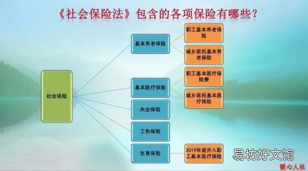 一文揭晓两种缴纳方式优缺点 社保个人缴费和单位缴费的区别
