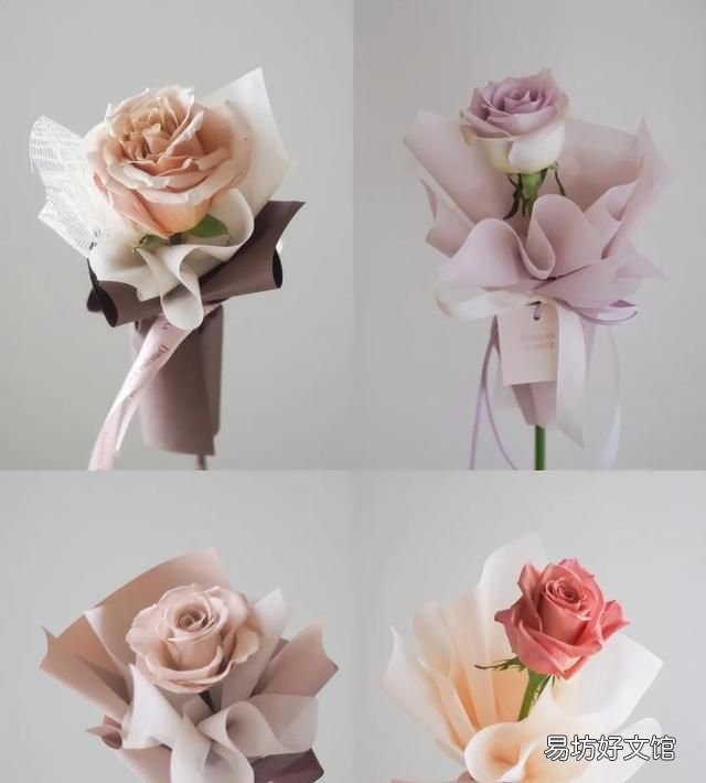 送玫瑰花支数的含义,玫瑰花语几朵代表什么