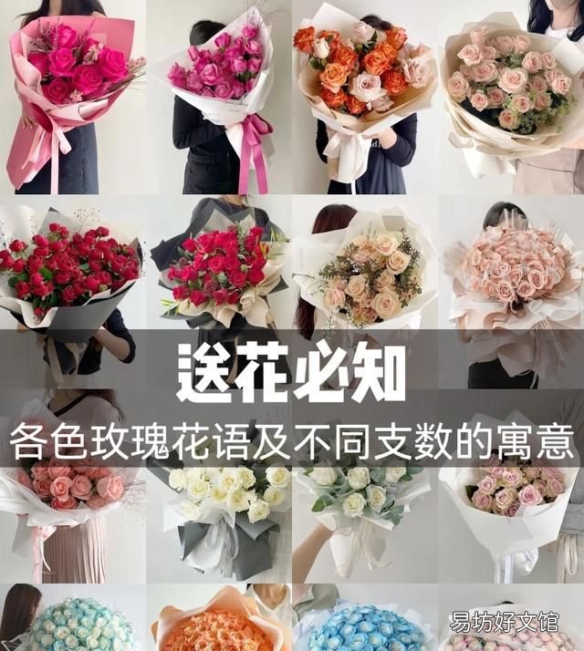 送玫瑰花支数的含义,玫瑰花语几朵代表什么