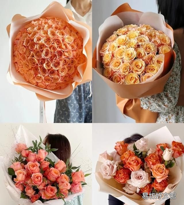送玫瑰花支数的含义,玫瑰花语几朵代表什么