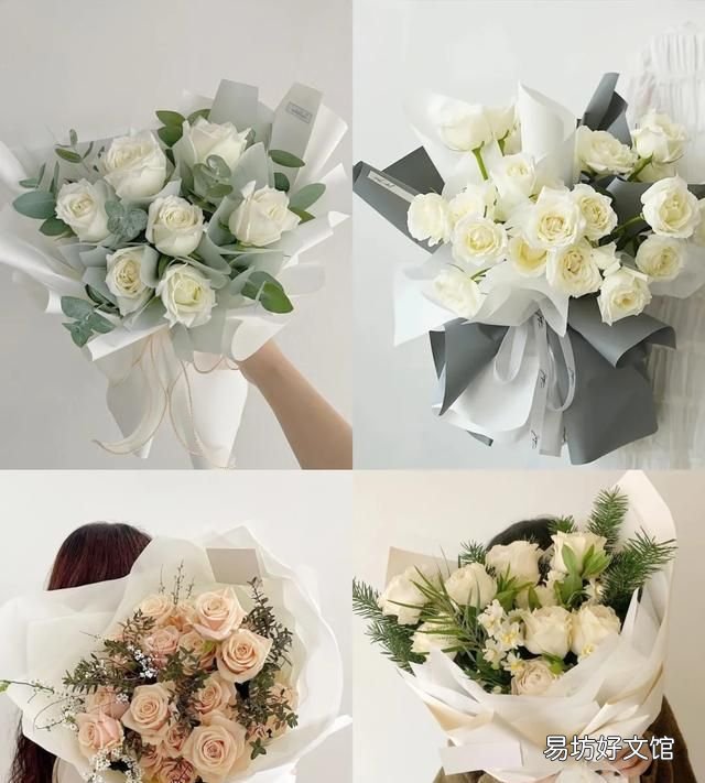 送玫瑰花支数的含义,玫瑰花语几朵代表什么