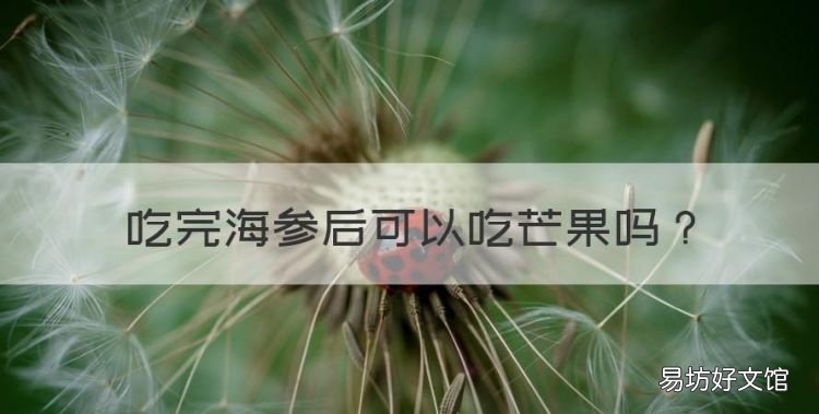 吃完海参后可以吃芒果