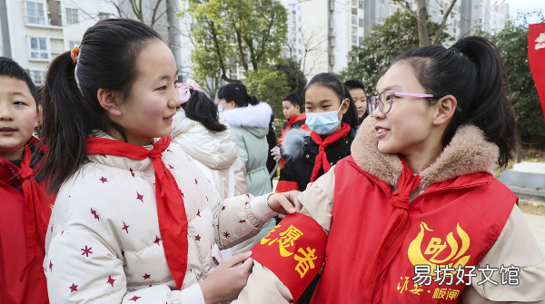 宠物救助站，上海救助站救助条件