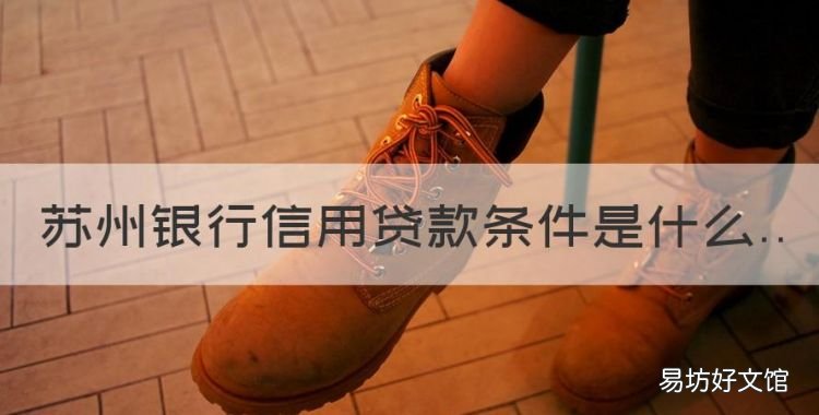 苏州银行信用贷款条件是什么,苏州银行信用贷款需要什么条件