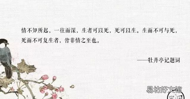 牡丹亭十句美文美到窒息