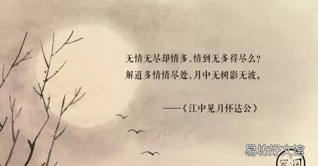 牡丹亭十句美文美到窒息