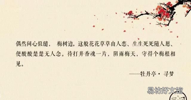 牡丹亭十句美文美到窒息
