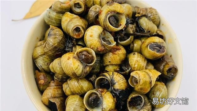 洗田螺别再只用盐