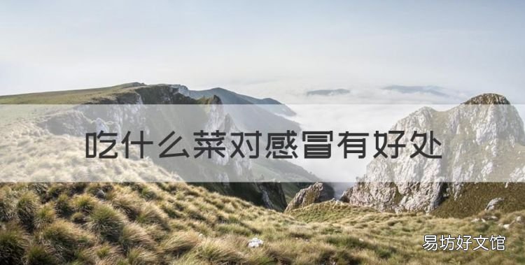 吃什么菜对感冒有好处，肠胃感冒吃点什么菜比较好