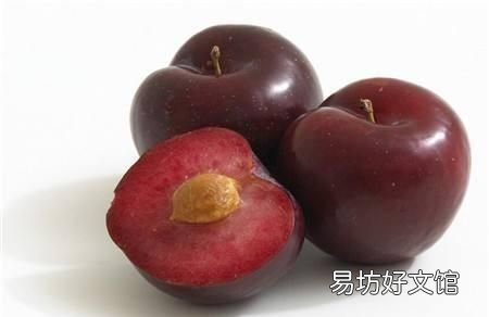 李子果脯干自制方法