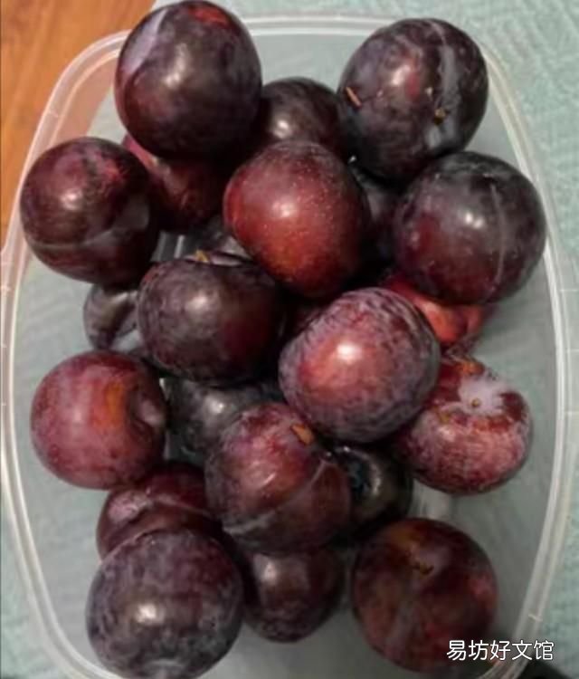 李子果脯干自制方法