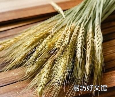 西农8号西瓜种植时间,西农822优缺点