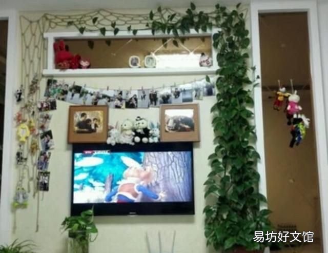 绿箩老是黄叶该怎么办呢