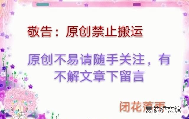 绿箩老是黄叶该怎么办呢