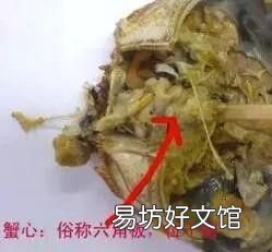 大闸蟹哪些部位不能吃?吃了有什么危害?