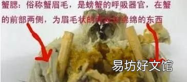 大闸蟹哪些部位不能吃?吃了有什么危害?