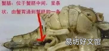 大闸蟹哪些部位不能吃?吃了有什么危害?