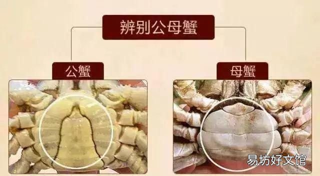 大闸蟹哪些部位不能吃?吃了有什么危害?