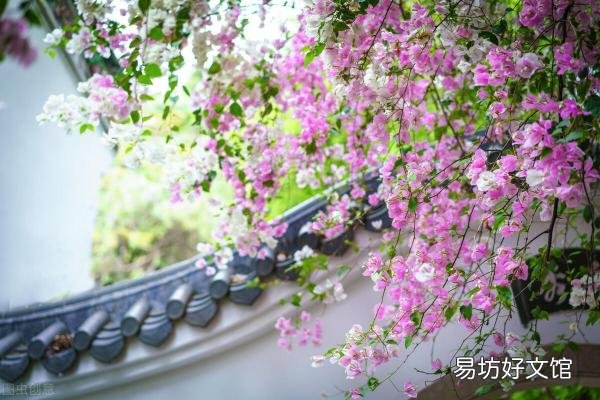 简析所有音乐平台优缺点 酷狗和酷我哪个好用