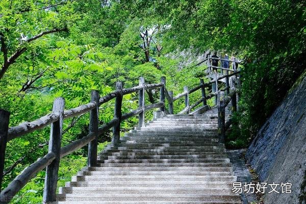 简析所有音乐平台优缺点 酷狗和酷我哪个好用