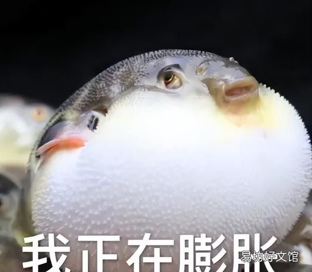 极简版qq和普通的区别,qq和微信为什么越用占用体积越大