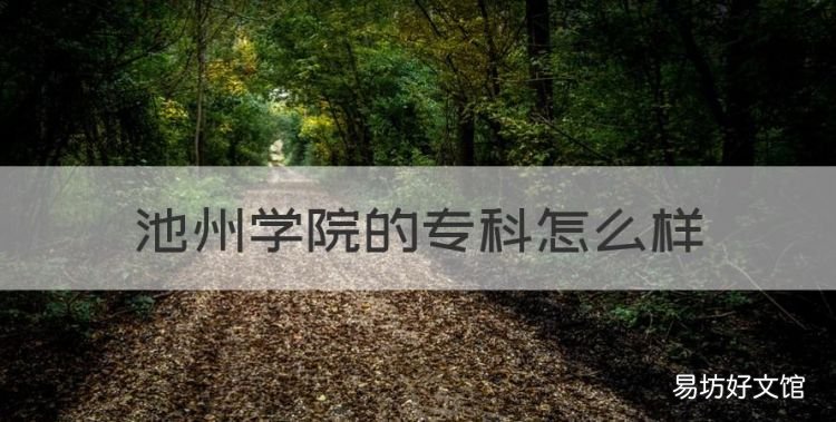 池州学院的专科怎么样,池州学院知识产权专业怎么样