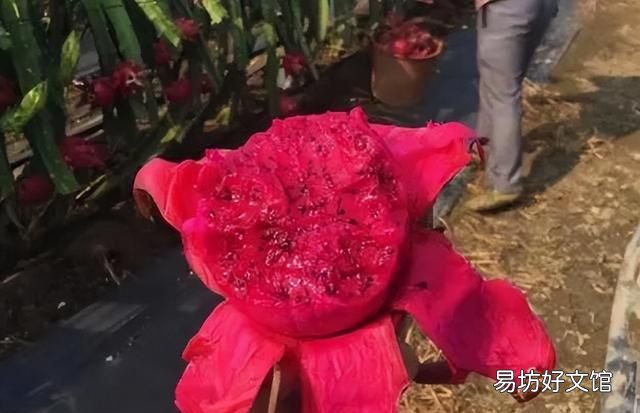 上火时的4种症状或是癌症信号 警惕你以为的上火或是癌症信号