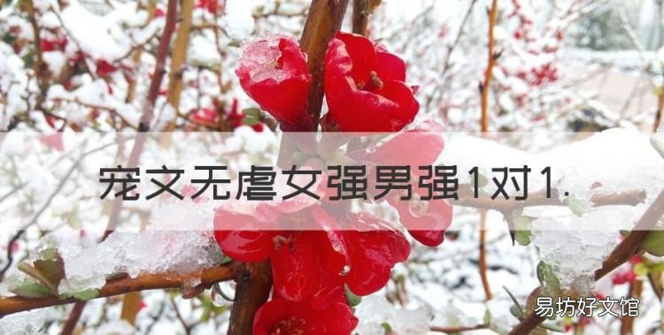 宠文无虐女强男强对.