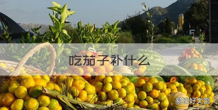 吃茄子补什么,茄子的营养价值有哪些
