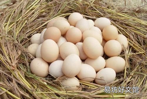 鸡蛋千万别直接放冰箱里教你一招