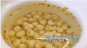 鸡头米是什么米 鸡头米是什么