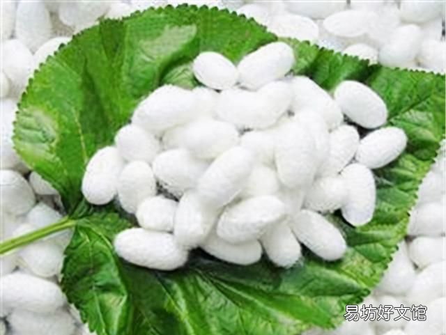 桑蚕丝的衣物如何洗涤及保养方法