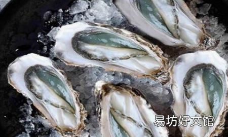 最好的翡翠生蚝是什么,顶级翡翠绿生蚝