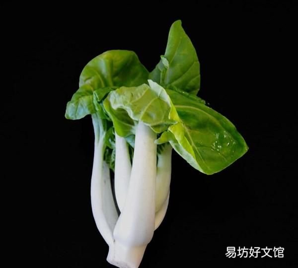 医生说我缺钙吃什么蔬菜补钙最好