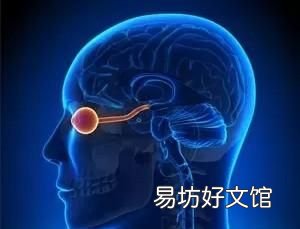 人体有什么奥秘,人体有哪些的奥秘