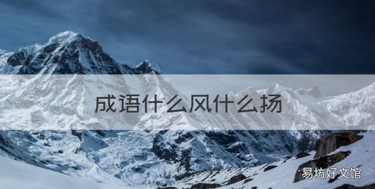 成语什么风什么扬,迎风飘扬的扬字是什么意思