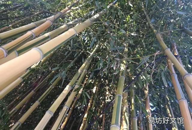 张掖最霸气的地名
