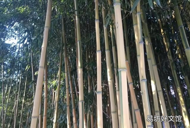 张掖最霸气的地名