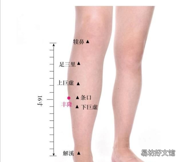 怎么样去身体湿 怎样除去身体湿热