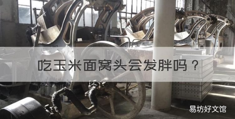 吃玉米面窝头会发胖,减肥主食能吃玉米窝窝头吗