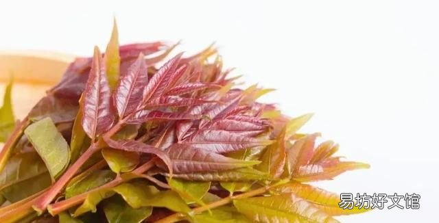 香椿芽可以不焯水直接炒鸡蛋吗