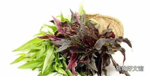 香椿芽可以不焯水直接炒鸡蛋吗