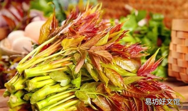 香椿芽可以不焯水直接炒鸡蛋吗