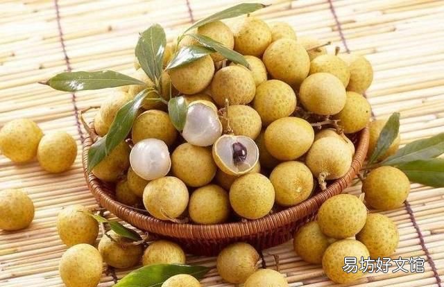 草藥龍眼肉的功效與作用