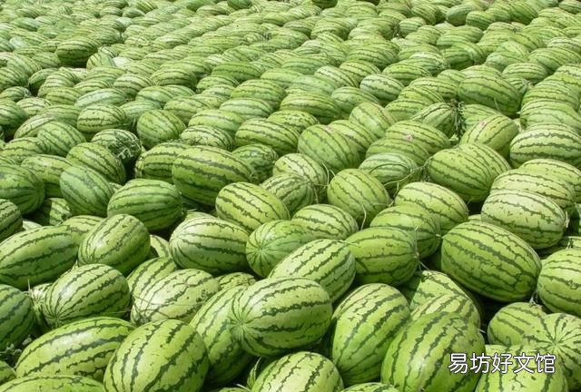 中卫硒砂瓜是怎么种出来的